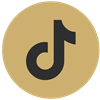 TikTok Icon